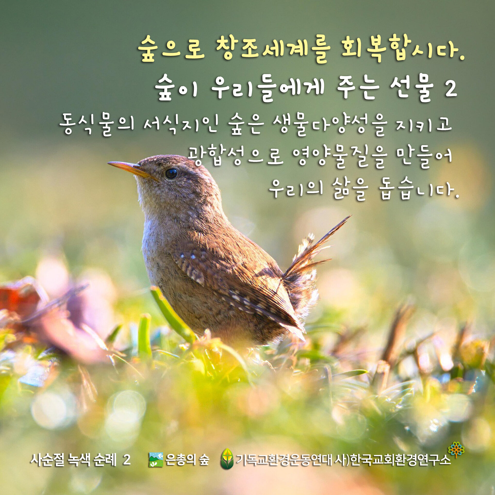 2025년-사순절-녹색순례-2.jpg