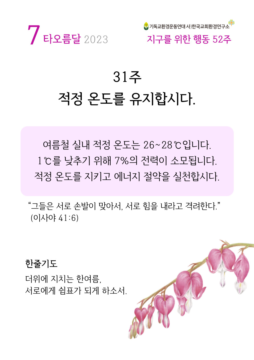 31주.jpg