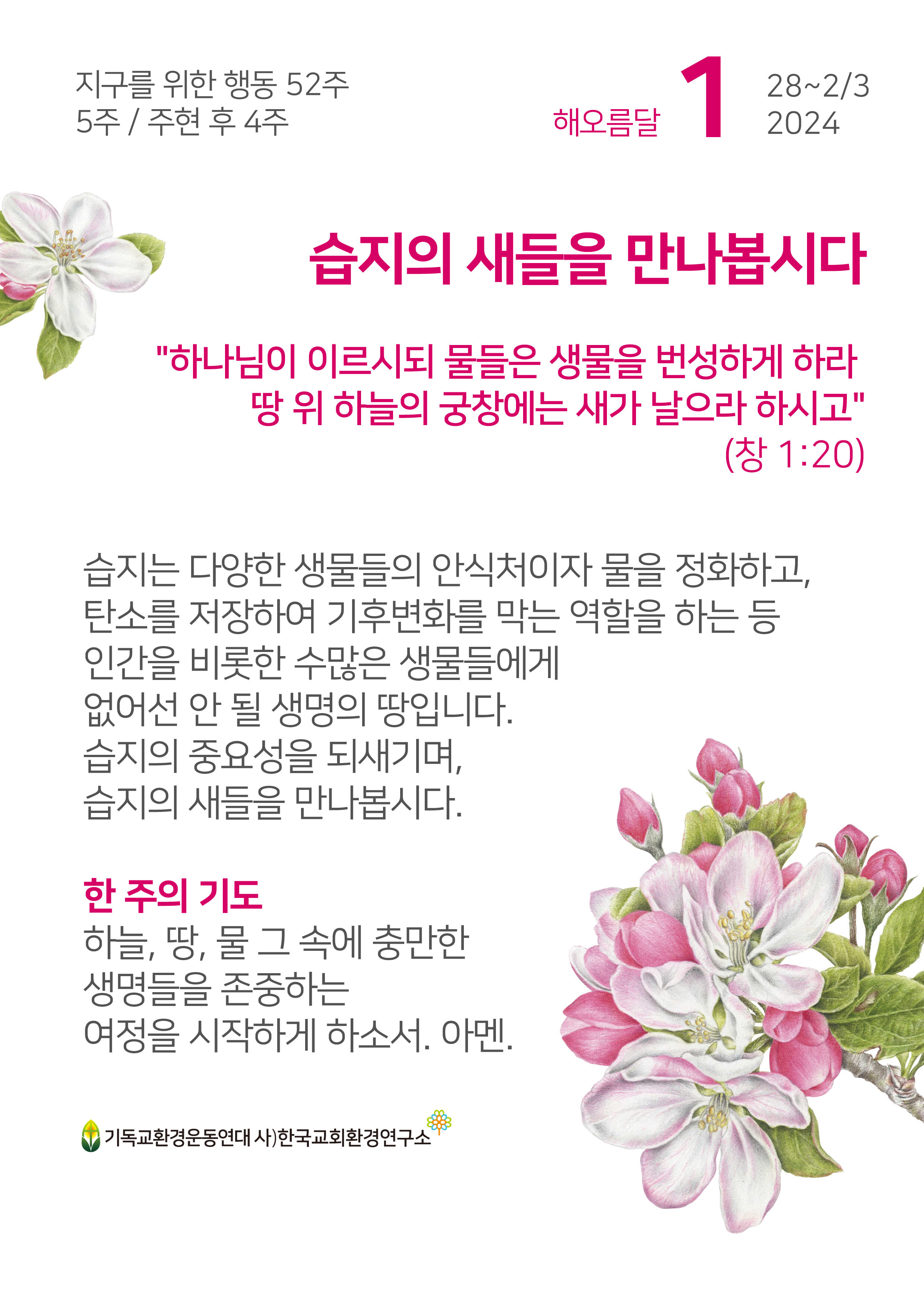 2024-5주.jpg